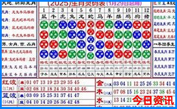 新奥实时更新天天实用技巧最新动态资料全新资料大全-澳门管家婆100%精准香港